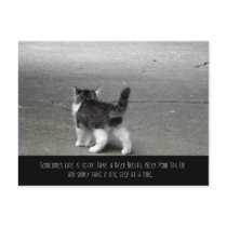 Tail Up (Kitten) Postcard