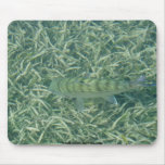 Tailing Bonefish Mousepad