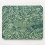 Tailing Bonefish mousepads