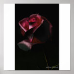 Tainted Love, Jeffrey Sinnock Posters