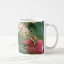 take a look mugs