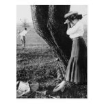 Take A Mulligan, 1906 Post Card