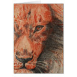 TAKE A WALK ON THE WILD SIDE~ HAPPY BIRTHDAY!!!!! CARD