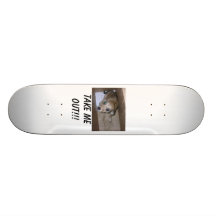 TAKE ME OUT!!! SKATEBOARD