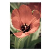 take on spring art photo