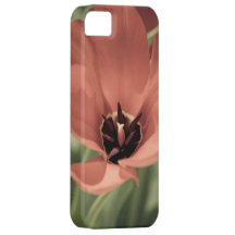 take on spring iPhone 5 cases