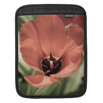 take on spring ipad sleeves