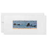 Take some time out for play Sea Otter rack/postcar Personalized Rack Card