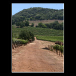 Take the Road less Travelled postcards
