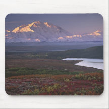 Taken in early September in Denali National Park Mousepads