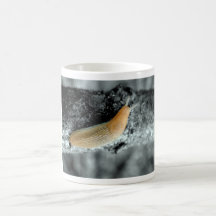 Taking It Slow Coffee Mugs