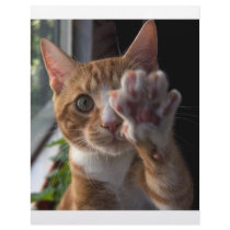 talk to the paw letterhead template