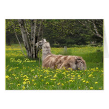 Talking Llama Cards