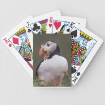 Talking Puffin Card Deck