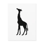 Tall African Giraffe Animal Silhouette Giraffidae postcards