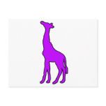 Tall African Giraffe Animal Silhouette Giraffidae postcards