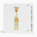Back/Spine