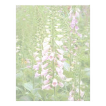Tall Foxglove - Excelsior Hybrids Custom Letterhead