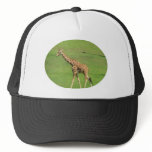 Tall Giraffe Baseball Hat