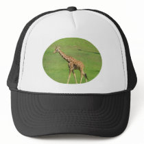 Tall Giraffe Baseball Hat