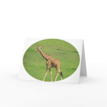 Tall Giraffe Greeting Card