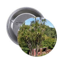 Tall green cabbage tree against the blue sky pin