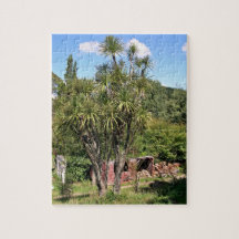 Tall green cabbage tree against the blue sky jigsaw puzzles