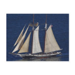 Tall Ship Seen From The Cabrillo Monument Postcard