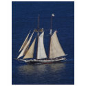 Tall Ship Seen From The Cabrillo Monument t-shirts