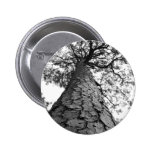 Tall Tree BW Pins