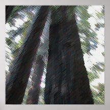 Tall Trees Poster