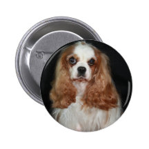 Tallulah Pins