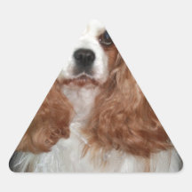 Tallulah Triangle Sticker