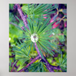 Tamarack Larch Foliage 3 Poster posters
