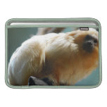 Tamarin 11" MacBook Sleeve