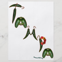 Tampa Chili Peppers Full Color Flyer