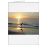 Tampa Sunset Crane Indian Rocks Beach Greeting Card