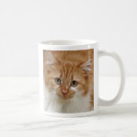 Tang Cat Coffee Mug