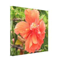 Tangerine Hawaiian Hibiscus Wrapped Canvas Stretched Canvas Prints
