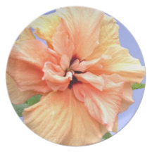 Tangerine Orange and Yellow Hibiscus Flower Plate