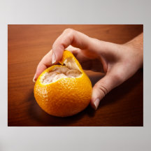 Tangerine peeling posters