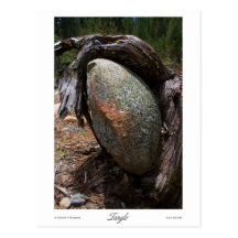Tangle Prints Postcard