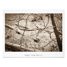 "Tangled" Photo