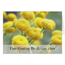 Tansy Flowers Greeting Card