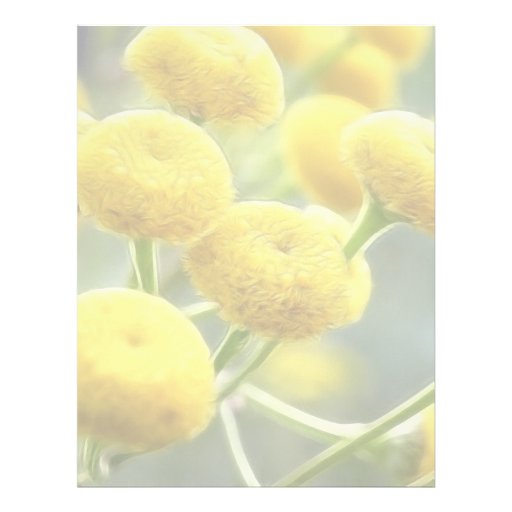 Tansy Flowers Personalized Letterhead