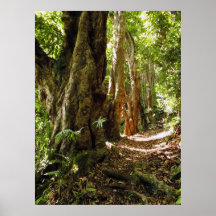 Tantalus Hiking Path Poster