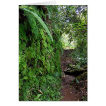Tantalus Hiking Trail Card
