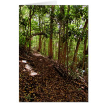 Tantalus Hiking Trail Greeting Cards