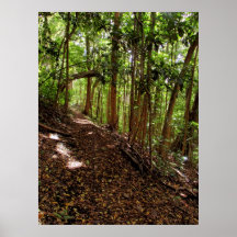 Tantalus Hiking Trail Print