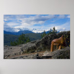 Tantalus Mountain Range Posters